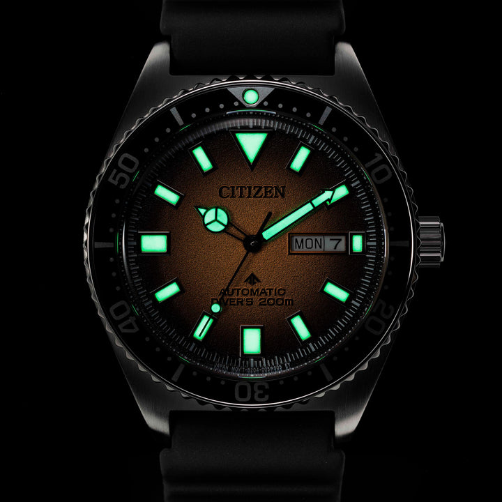 Citizen Promaster Marine Watch