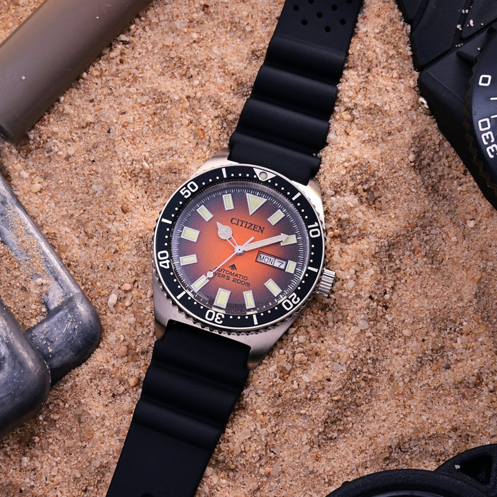 Citizen Promaster Marine Watch