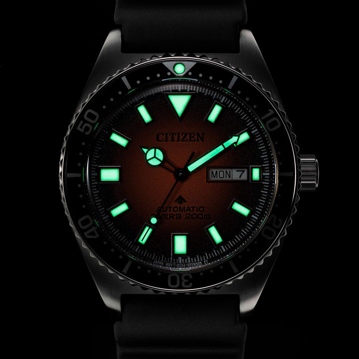 Citizen Promaster Marine Watch